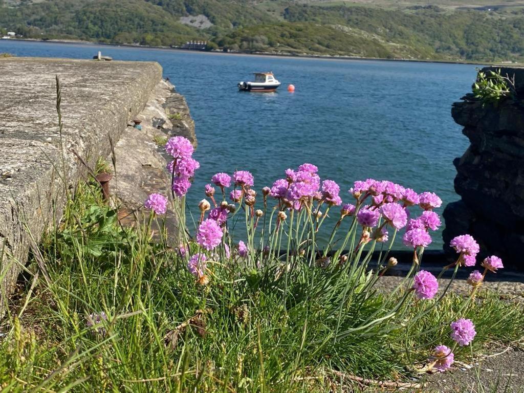 No6 Bed and Breakfast Barmouth Buitenkant foto